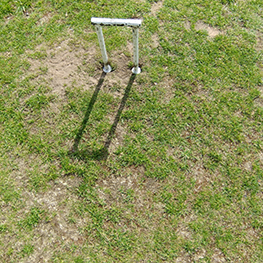 Photo of mcroquet hoop in lawn after moss had been killed.