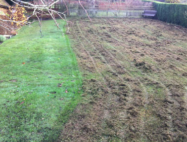 Lawn with lots of scarified waste