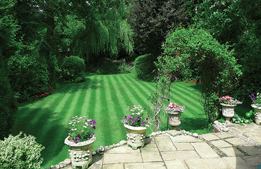 Lawn care results after lawn care treatments. 