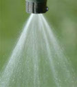 Photo of weed spray